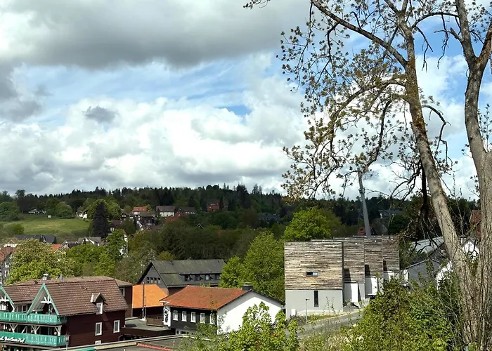 Primeloft Igel - Balkon - Zentrale Lage - Grosse Kueche - Stilvoll & Modern - Bis 6 Pers - Mit Parkplatz Lägenhet Braunlage